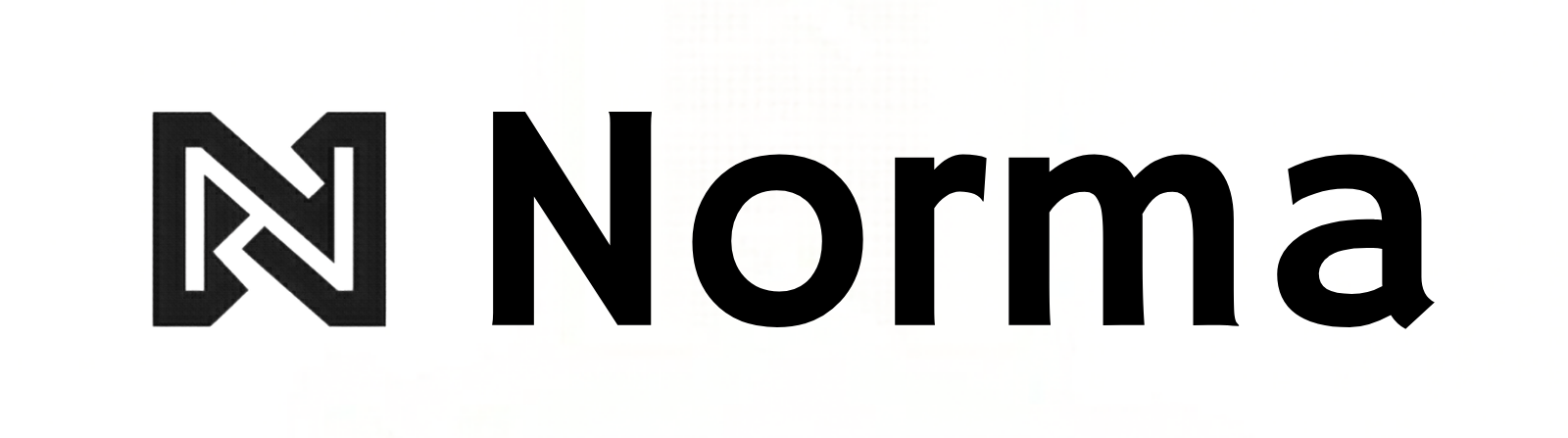 Norma 29